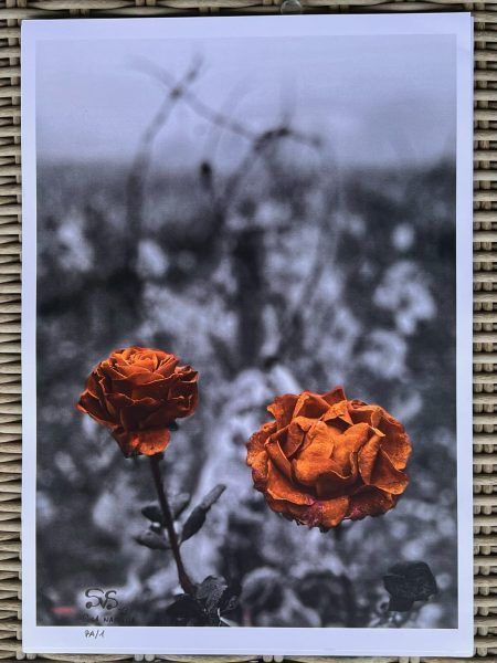 image11